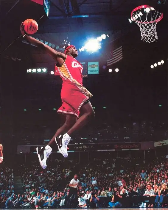 LeBron James Dunks: Defying Gravity LeBron James Dunks: Defying Gravity